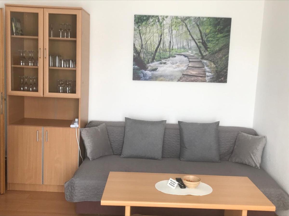 Apartmani Kuzmanovic Stan Na Dan Добой Экстерьер фото